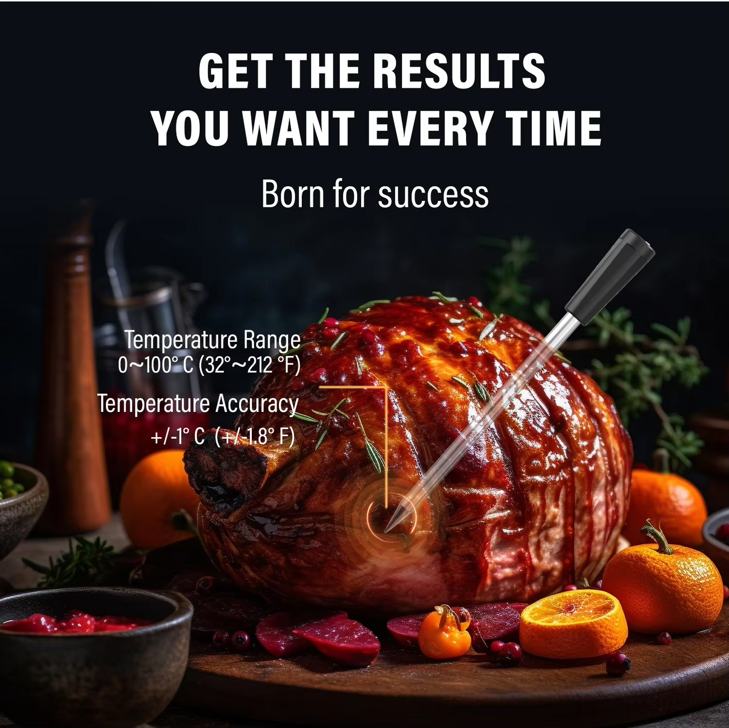 Bluetooth Meat Thermometer